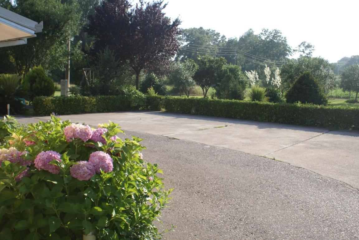 Helena'S Sweet Home Ulcinj Exterior photo